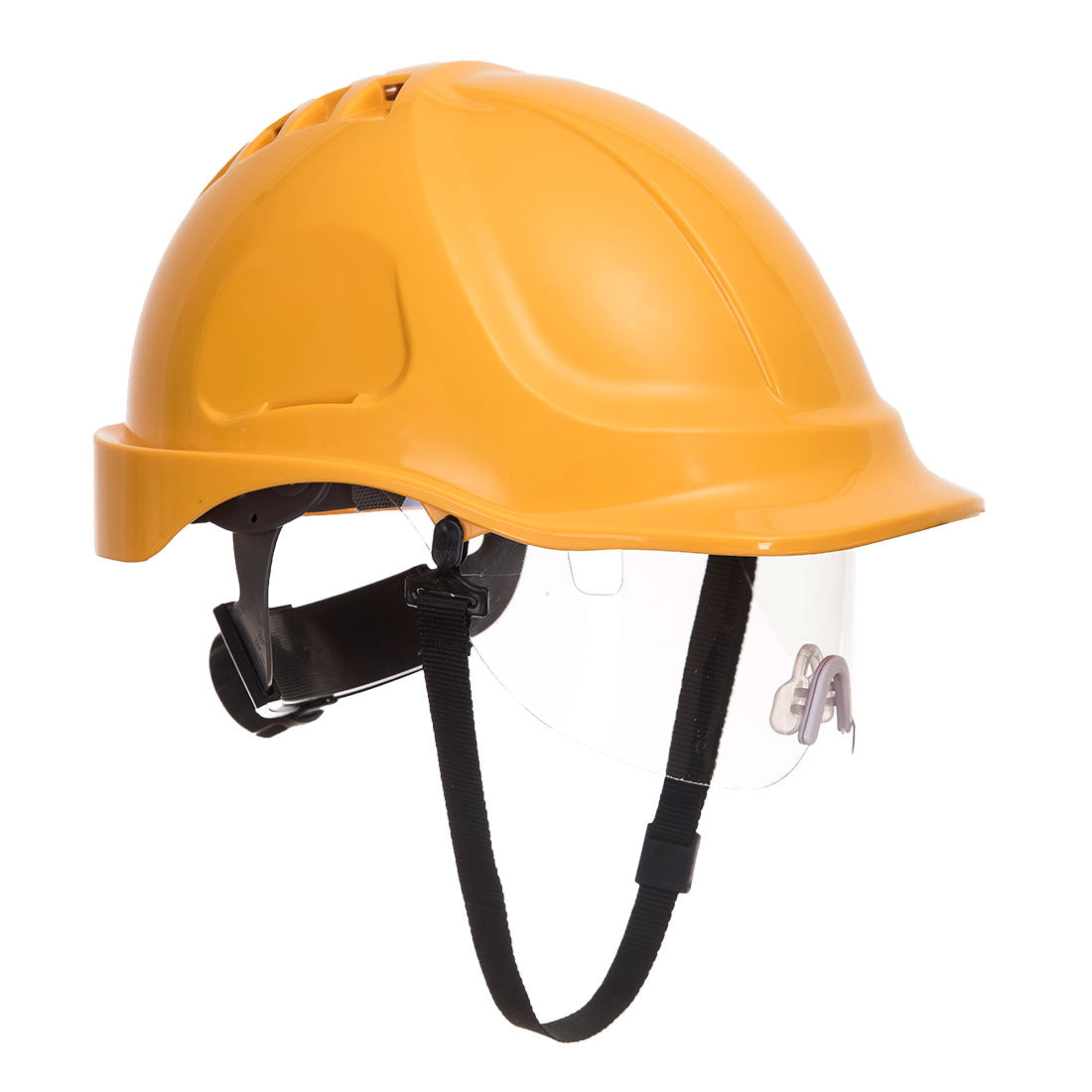 Endurance Visor Helmet (PW55)