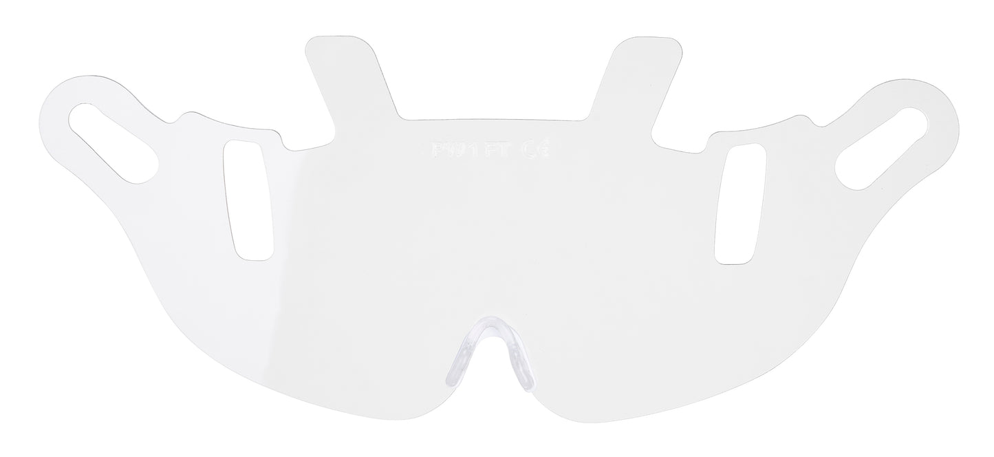 Endurance Visor Replacement (PW56)